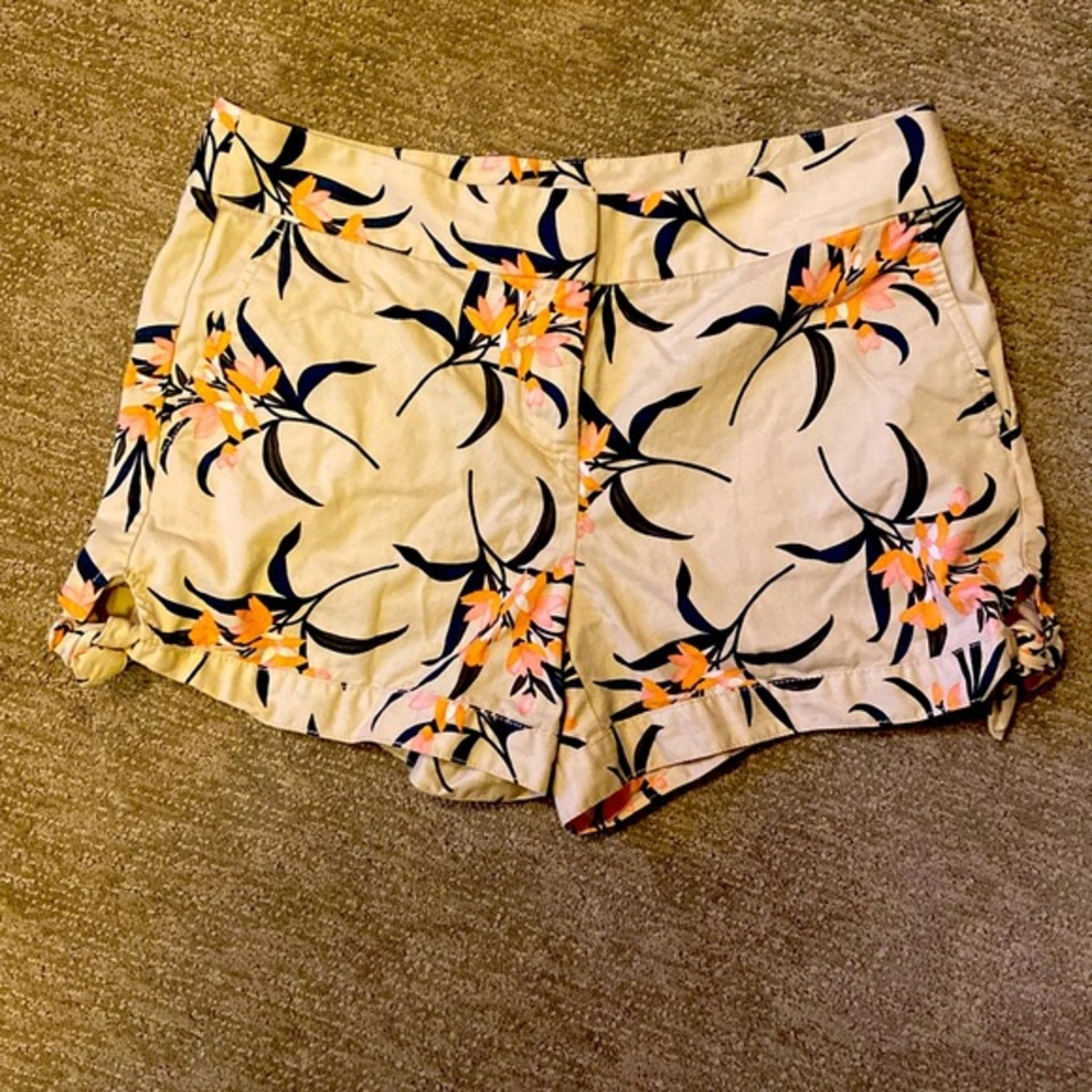 Loft Shorts Cute Ties!